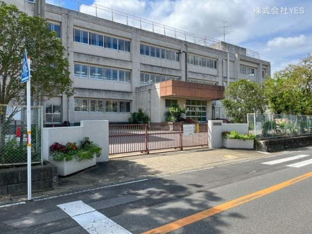 周辺環境　柏市立花野井小学校　距離1400m